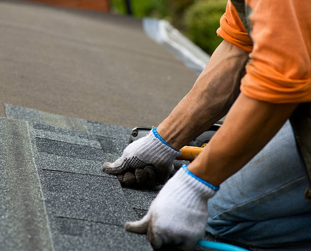 Best Emergency Roof Repair  in Dillingham, AK